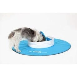 IFetch IDig Go Dog Toy, Blue -Dog Supplies Shop 213248 PT2. AC SS1800 V1575486216