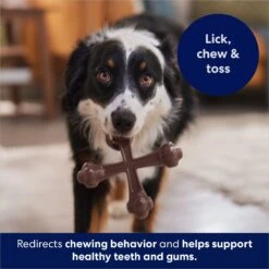 Frisco Bacon Flavor Tough Nylon Dog Chew Toy 12 Frisco Bacon Flavor Tough Nylon Dog Chew Toy -Dog Supplies Shop 213430 PT5. AC SS1800 V1691783968