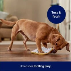 Frisco Frosted Pastry Stuffing-Free Flat Plush Squeaky Dog Toy -Dog Supplies Shop 213812 PT5. AC SS1800 V1686579088