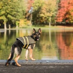 US ARMY Dog Life Vest, Dark Camo 9 US ARMY Dog Life Vest, Dark Camo -Dog Supplies Shop 215074 PT5. AC SS1800 V1605738741