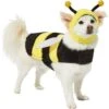 Frisco Bumble Bee Dog & Cat Costume -Dog Supplies Shop 215492 MAIN. AC SS1800 V1624542927