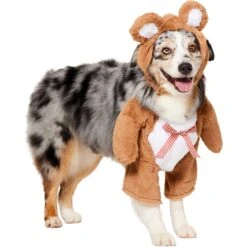 Frisco Front Walking Teddy Bear Dog & Cat Costume -Dog Supplies Shop 215507 PT3. AC SS1800 V1624402415