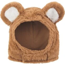 Frisco Front Walking Teddy Bear Dog & Cat Costume -Dog Supplies Shop 215507 PT7. AC SS1800 V1622038937