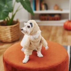 Frisco Front Walking Sloth Dog & Cat Costume -Dog Supplies Shop 215539 PT8. AC SS1800 V1599141353