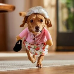 Frisco Front Walking Granny Dog & Cat Costume 19 Frisco Front Walking Granny Dog & Cat Costume -Dog Supplies Shop 215577 PT8. AC SS1800 V1689621333