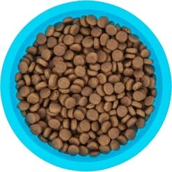 Frisco Plastic Suction Bowl, Blue -Dog Supplies Shop 216037 PT4. AC SS1800 V1591020655