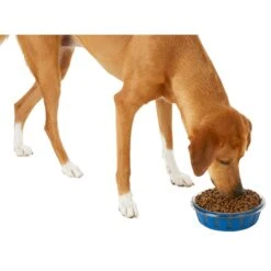 Frisco Chevron Design Glass Bowl With Silicone Sleeve 13 Frisco Chevron Design Glass Bowl With Silicone Sleeve -Dog Supplies Shop 216049 PT6. AC SS1800 V1605654757