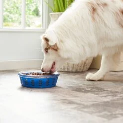 Frisco Chevron Design Glass Bowl With Silicone Sleeve 14 Frisco Chevron Design Glass Bowl With Silicone Sleeve -Dog Supplies Shop 216049 PT7. AC SS1800 V1605664319