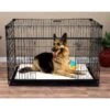 Lucky Dog Sliding Double Door Wire Dog Crate -Dog Supplies Shop 217625 MAIN. AC SS1800 V1580827476