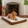 Happy Hounds Otis Orthopedic Pillow Dog Bed With Removable Cover -Dog Supplies Shop 219148 MAIN. AC SS1800 V1699907673