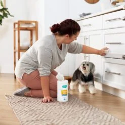 Frisco Vinegar Cleaning Wipes, 70 Count -Dog Supplies Shop 222151 PT4. AC SS1800 V1602847932