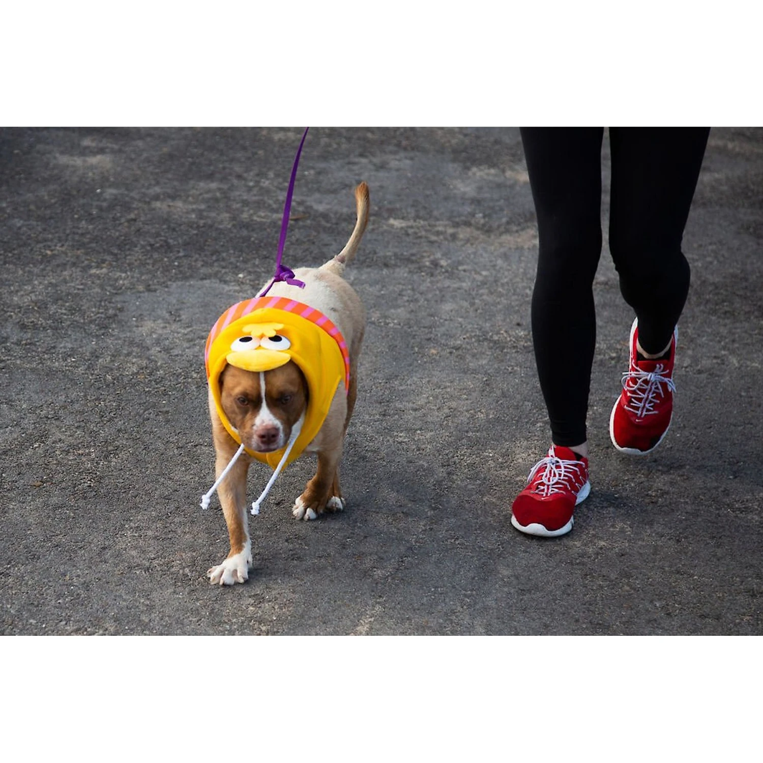 Pet Krewe Big Bird Dog & Cat Costume 5 Pet Krewe Big Bird Dog & Cat Costume - Image 3