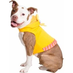 Pet Krewe Big Bird Dog & Cat Costume 17 Pet Krewe Big Bird Dog & Cat Costume -Dog Supplies Shop 223177 PT6. AC SS1800 V1599263770
