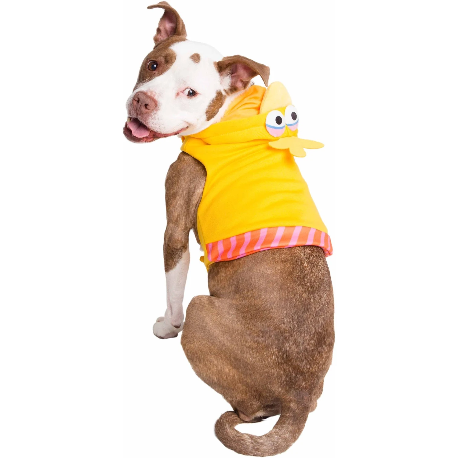 Pet Krewe Big Bird Dog & Cat Costume 10 Pet Krewe Big Bird Dog & Cat Costume - Image 8