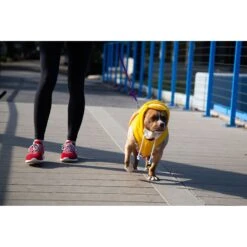 Pet Krewe Big Bird Dog & Cat Costume 14 Pet Krewe Big Bird Dog & Cat Costume -Dog Supplies Shop 223177 pt3. AC SS1800 V1583163476