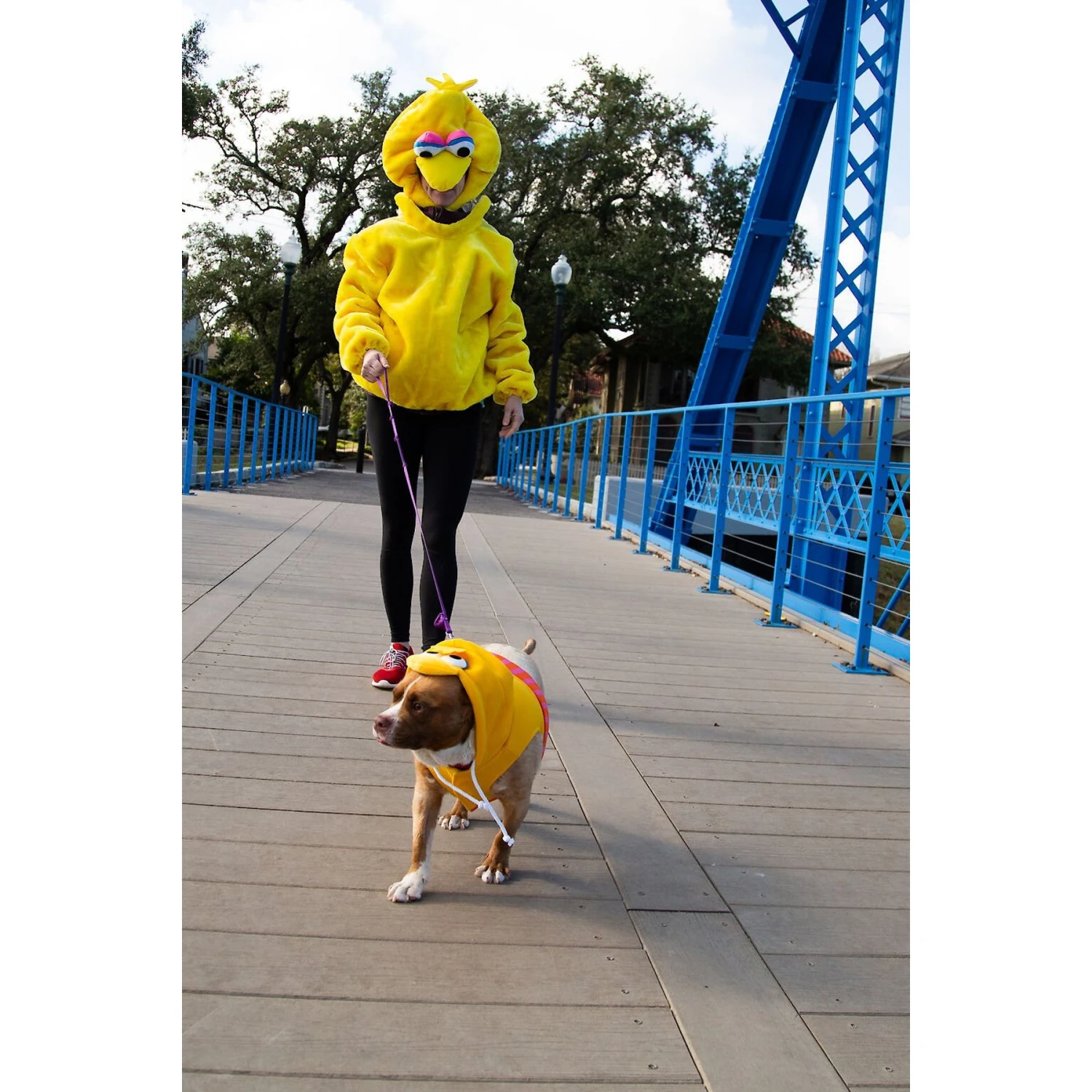 Pet Krewe Big Bird Dog & Cat Costume 7 Pet Krewe Big Bird Dog & Cat Costume - Image 5