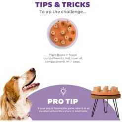 Nina Ottosson By Outward Hound Dog Smart Composite Dog Toy 13 Nina Ottosson By Outward Hound Dog Smart Composite Dog Toy -Dog Supplies Shop 226720 PT3. AC SS1800 V1694439632