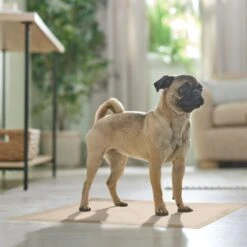 Frisco Large Eco-Conscious Dog Training & Potty Pads -Dog Supplies Shop 227438 PT6. AC SS1800 V1674665619