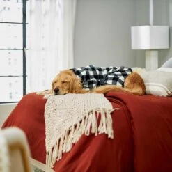 Wagatude Black Buffalo Plaid Dog Pajama 11 Wagatude Black Buffalo Plaid Dog Pajama -Dog Supplies Shop 228071 PT4. AC SS1800 V1637645494