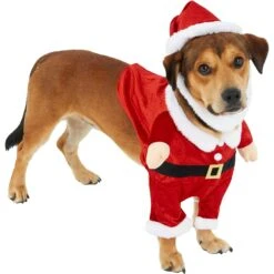 Frisco Front Walking Santa Dog & Cat Costume, 1 Count -Dog Supplies Shop 228785 PT3. AC SS1800 V1631300866