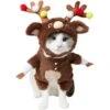 Frisco Front Walking Reindeer Dog & Cat Costume, 1 Count 1 Frisco Front Walking Reindeer Dog & Cat Costume, 1 Count -Dog Supplies Shop 228790 MAIN. AC SS1800 V1636731115