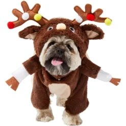 Frisco Front Walking Reindeer Dog & Cat Costume, 1 Count 13 Frisco Front Walking Reindeer Dog & Cat Costume, 1 Count -Dog Supplies Shop 228790 PT2. AC SS1800 V1636731101
