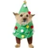 Frisco Front Walking Christmas Tree Dog & Cat Costume -Dog Supplies Shop 229164 MAIN. AC SS1800 V1631300529