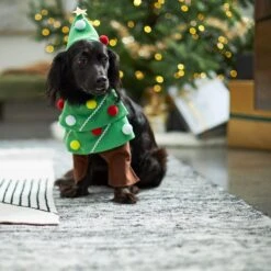 Frisco Front Walking Christmas Tree Dog & Cat Costume 14 Frisco Front Walking Christmas Tree Dog & Cat Costume -Dog Supplies Shop 229164 PT7. AC SS1800 V1601385981