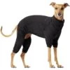 Canada Pooch Thermal Layer Dog Onesie, Black -Dog Supplies Shop 229714 MAIN. AC SS1800 V1597884683