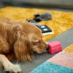 Frisco Retro Funky Van TPE Treat Dispenser Dog Toy, Medium/Large -Dog Supplies Shop 230383 PT4. AC SS1800 V1669908614