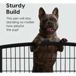 IRIS USA 8-Panel Dog Exercise Playpen, 34-in, Black -Dog Supplies Shop 231622 PT5. AC SS1800 V1586959253