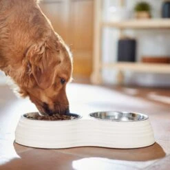 Frisco Stainless Steel Double Dog Bowls With Melamine Stand -Dog Supplies Shop 232092 PT7. AC SS1800 V1693015855