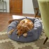 Frisco Velvet Round Bolster Dog Bed W/Removable Cover -Dog Supplies Shop 232178 MAIN. AC SS1800 V1602013291