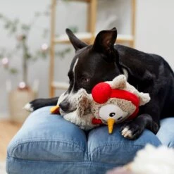 Frisco Holiday Owl Plush Squeaky Dog Toy -Dog Supplies Shop 233160 PT2. AC SS1800 V1601304724