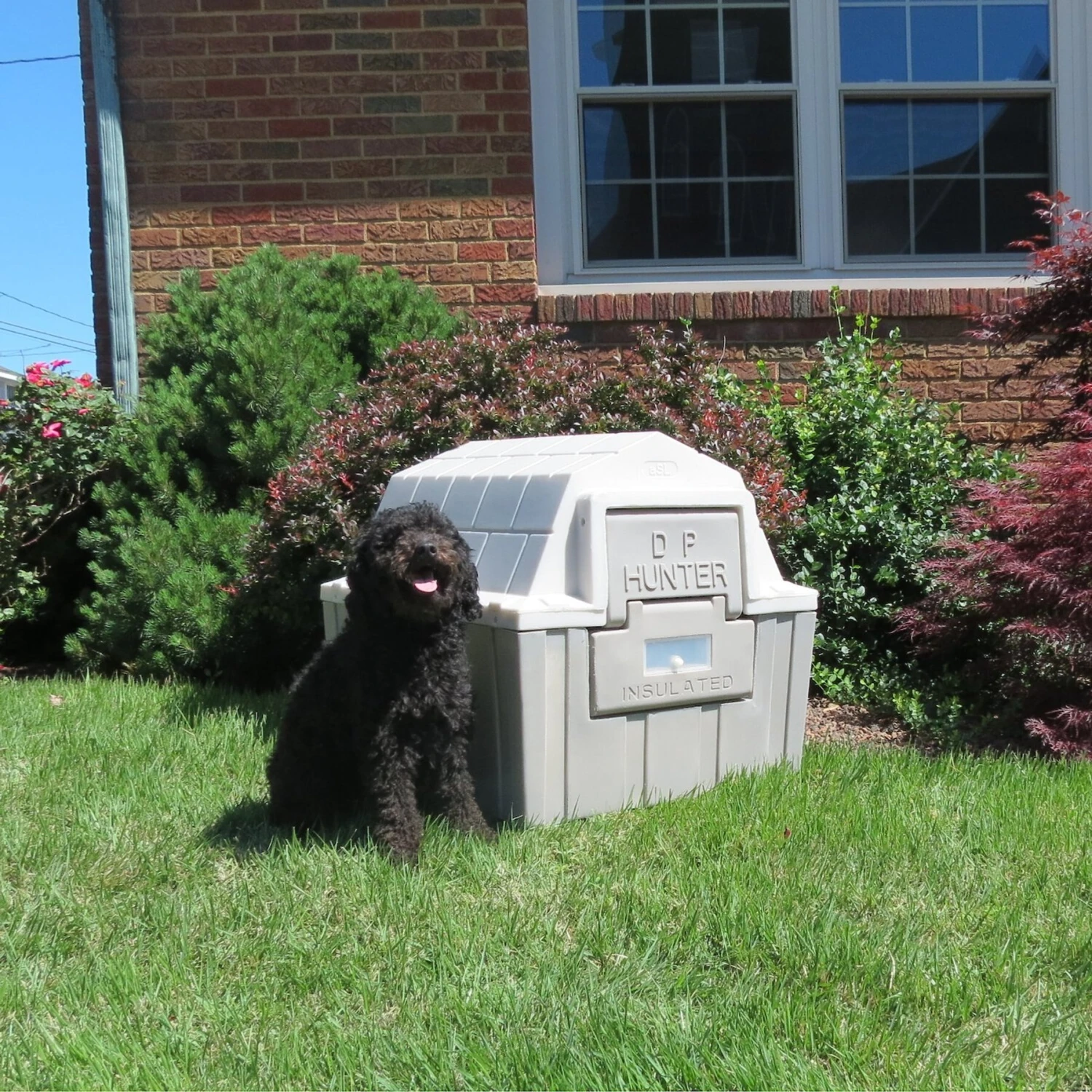 Dog Palace DP Hunter Insulated Dog House 8 Dog Palace DP Hunter Insulated Dog House - Image 6