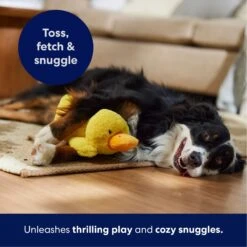 Frisco Duck Plush Squeaky Dog Toy -Dog Supplies Shop 233613 PT4. AC SS1800 V1695670688