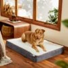 Frisco Orthopedic Pillow Cat & Dog Bed -Dog Supplies Shop 235036 MAIN. AC SS1800 V1602690401