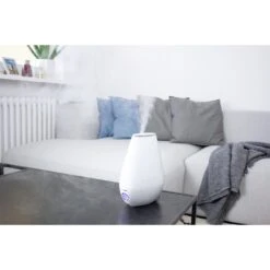 Beurer 2-in-1 Essential Oil Diffuser & Air Humidifier Replacement Pads, 10 Count -Dog Supplies Shop 237671 PT6. AC SS1800 V1619795854