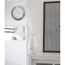 Beurer 2-in-1 Essential Oil Diffuser & Air Humidifier Replacement Pads, 10 Count -Dog Supplies Shop 237671 PT7. AC SS1800 V1619795841