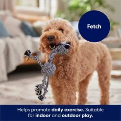 Frisco Zebra Rope Squeaky Dog Toy 10 Frisco Zebra Rope Squeaky Dog Toy -Dog Supplies Shop 242163 PT3. AC SS1800 V1691785245