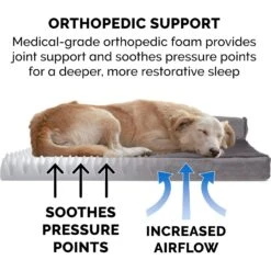 FurHaven Plush Deluxe Chaise Orthopedic Cat & Dog Bed With Removable Cover -Dog Supplies Shop 242784 PT5. AC SS1800 V1703799942