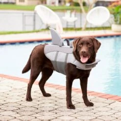 Frisco Shark Dog Life Jacket -Dog Supplies Shop 247887 PT7. AC SS1800 V1616505777