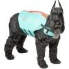 Frisco Active Dog Life Jacket 1 Frisco Active Dog Life Jacket -Dog Supplies Shop 247894 MAIN. AC SS1800 V1613407958