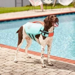 Frisco Active Dog Life Jacket -Dog Supplies Shop 247894 PT7. AC SS1800 V1616506092