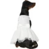 Frisco Formal Dog Wedding Dress -Dog Supplies Shop 248743 MAIN. AC SS1800 V1614118280
