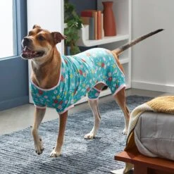 Frisco Teal Floral Dog & Cat Jersey PJs 15 Frisco Teal Floral Dog & Cat Jersey PJs -Dog Supplies Shop 249132 PT7. AC SS1800 V1614376401
