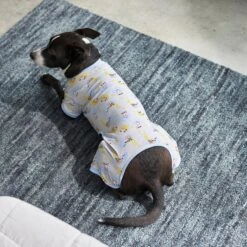 Frisco Sleepy Sloths Dog & Cat Jersey PJs -Dog Supplies Shop 249144 PT7. AC SS1800 V1614369158