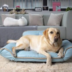 K1 Pet Design Stark Sofa Dog Bed -Dog Supplies Shop 254149 PT6. AC SS1800 V1602723974
