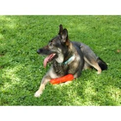 Playology Scented Squeaky Chew Stick Dog Toy -Dog Supplies Shop 254311 PT6. AC SS1800 V1697483584