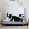 KOPEKS Orthopedic Elevated Bolster Dog Bed With Removable Cover -Dog Supplies Shop 255295 MAIN. AC SS1800 V1602121565